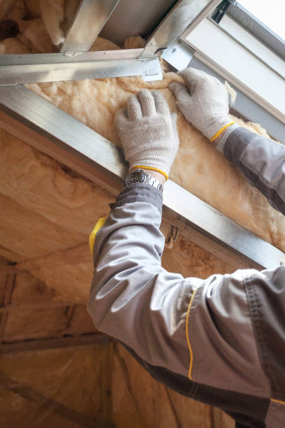 Best Insulation Replacement Services  in Big Timber, MT